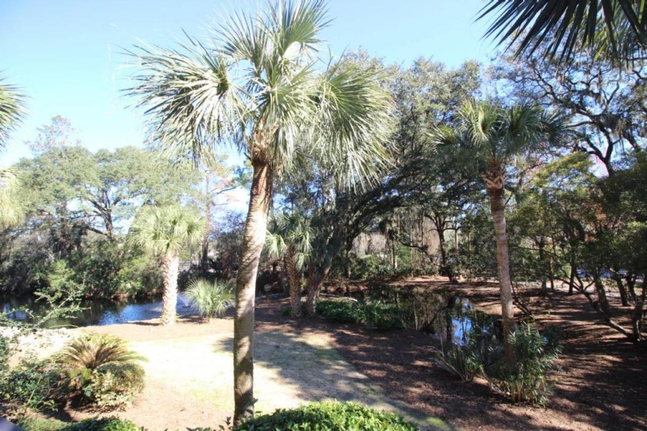 123 Forest Beach Villas Hilton Head Island Eksteriør billede